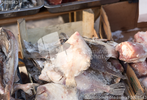 Image of fish market