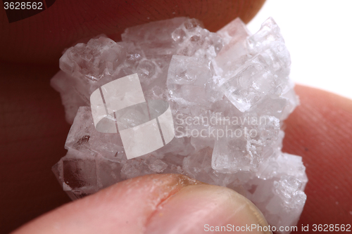 Image of salt crystal in human hand