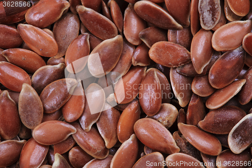 Image of flax seed texture