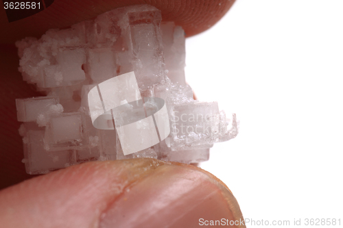 Image of salt crystal in human hand