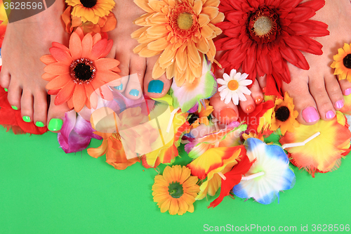 Image of women feets and flowers (pedicure tbackground)