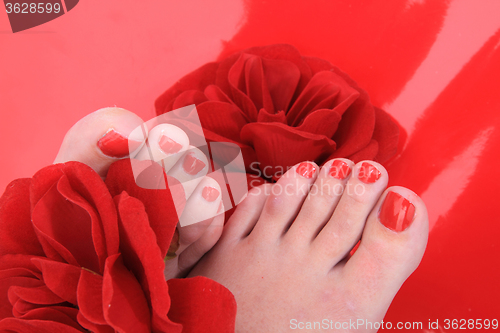 Image of women feets and flowers (pedicure tbackground)