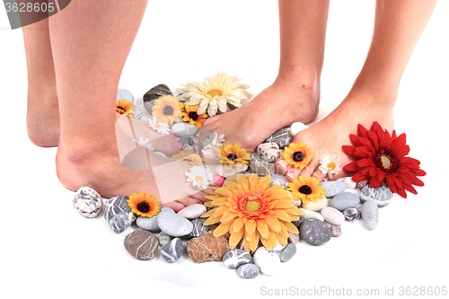 Image of women feets and flowers (pedicure tbackground)