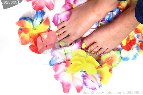 Image of women feets and flowers (pedicure tbackground)