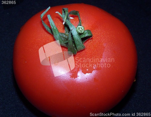 Image of Tomato