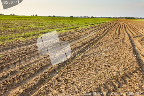 Image of Agriculture