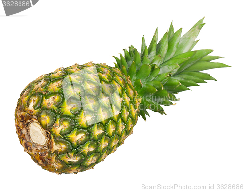 Image of Fresh ripe pineapple