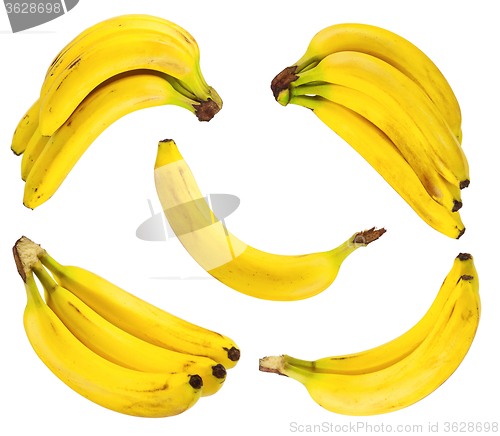 Image of Set of ripe bananas