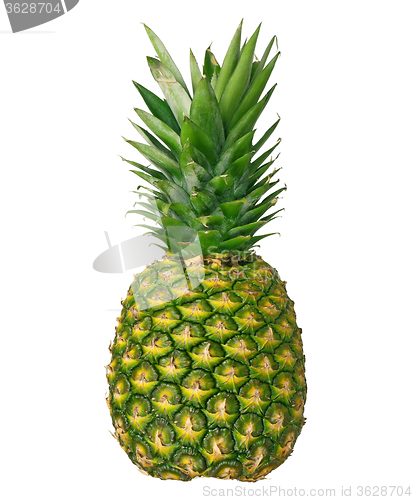 Image of Fresh ripe pineapple