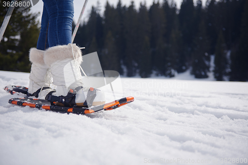 Image of couple having fun and walking in snow shoes