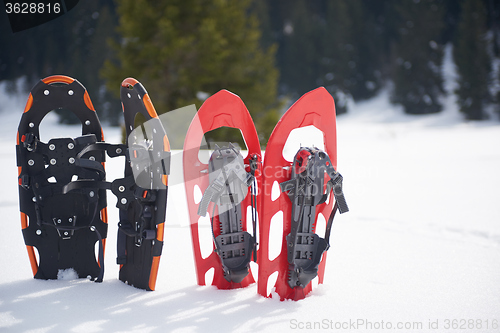 Image of winter snowshoes