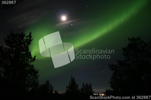 Image of Border borealis