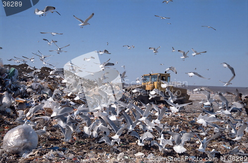 Image of City dump 28