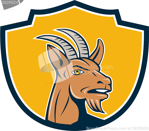 Image of Mountain Goat Head Shield Cartoon