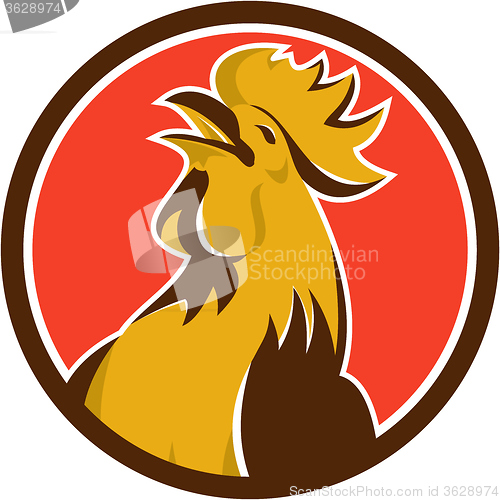 Image of Chicken Rooster Crowing Circle Retro