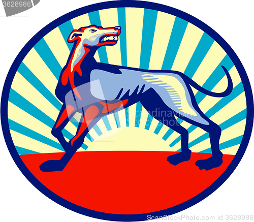 Image of Greyhound Dog Angry Looking Up Circle Retro