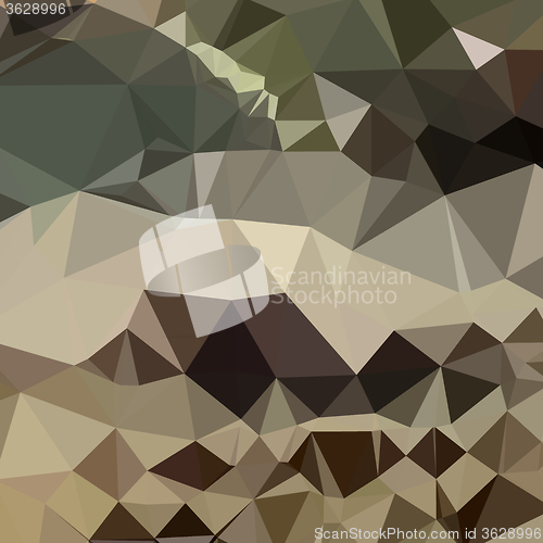 Image of Drab Brown Blue Abstract Low Polygon Background
