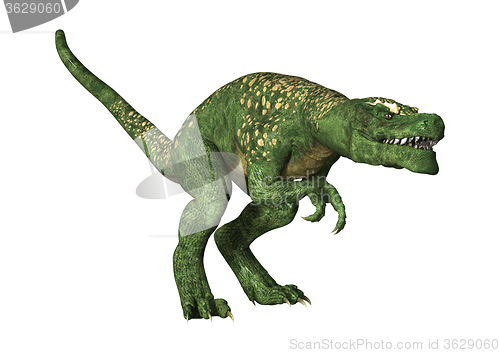 Image of Dinosaur Tyrannosaurus