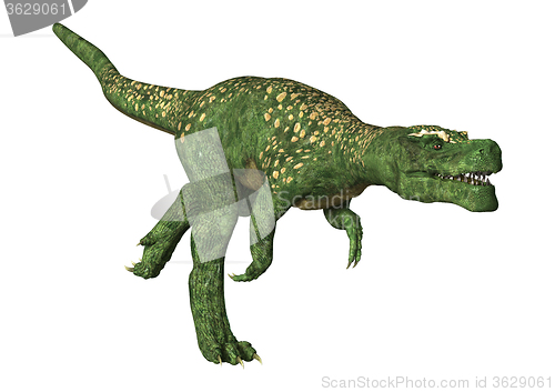 Image of Dinosaur Tyrannosaurus