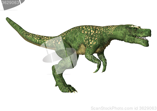 Image of Dinosaur Tyrannosaurus