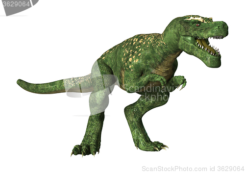 Image of Dinosaur Tyrannosaurus