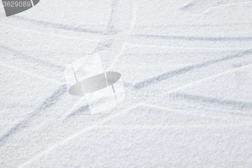 Image of Trails in the snow