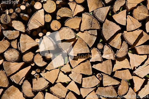 Image of Log Pile