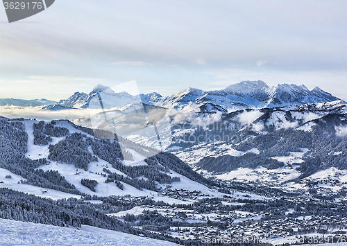 Image of Winter Landscape