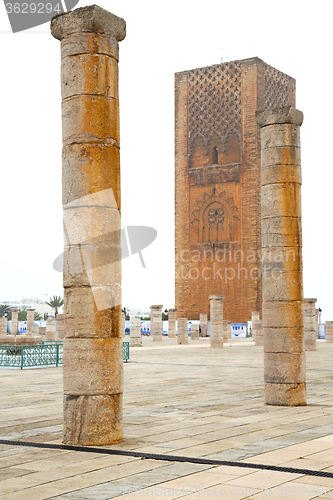 Image of the   chellah  in morocco africa  old roman deteriorated  