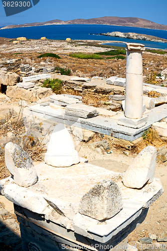 Image of bush   in delos greece the historycal acropolis and old ruin sit