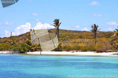 Image of isla contoy   in mexico froath and blue 