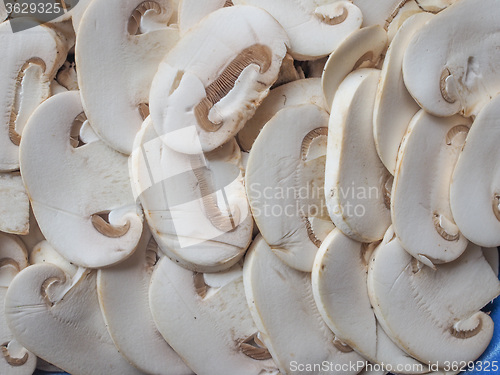 Image of Champignon mushrooms background
