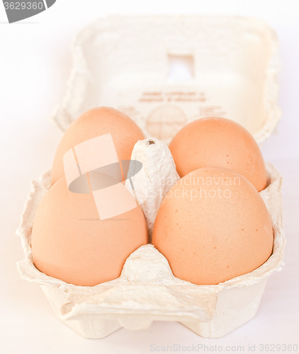 Image of Retro looking Eggs