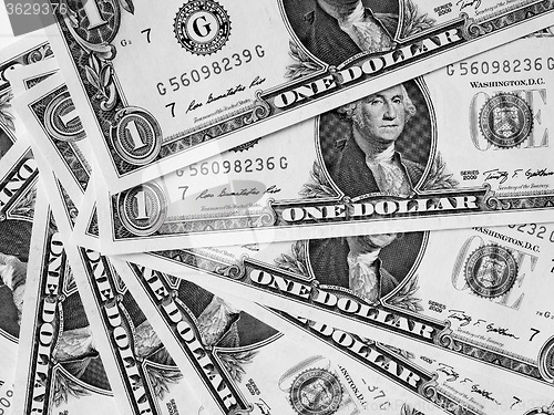 Image of Black and white Dollar notes 1 Dollar
