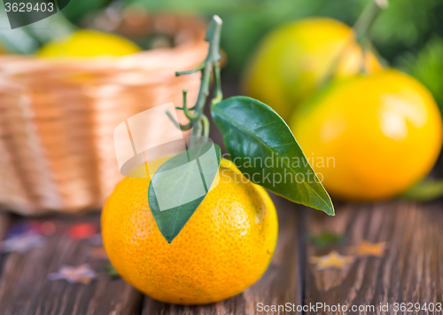 Image of fresh tangerines