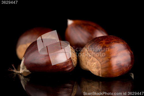 Image of Chestnuts on a black reflective background