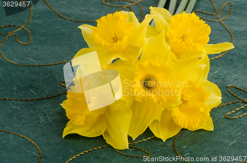 Image of Jonquil flowers