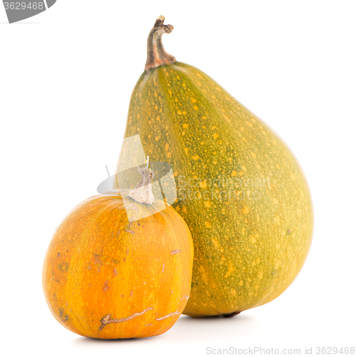 Image of Pumpkins