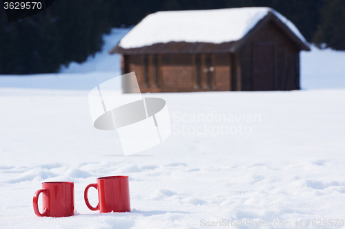 Image of couple having fun and walking in snow shoes