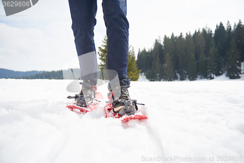 Image of couple having fun and walking in snow shoes