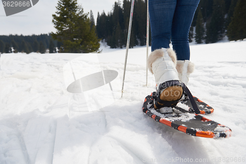 Image of couple having fun and walking in snow shoes