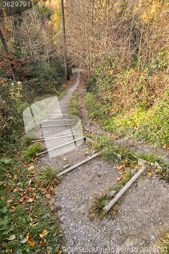 Image of Stairs fitness trail in forest