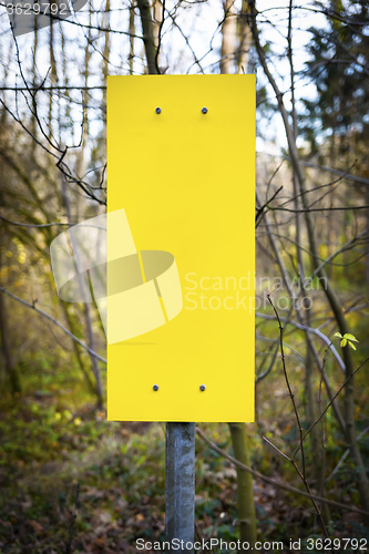 Image of empty yellow sign in forest