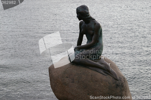 Image of The litle mermaid