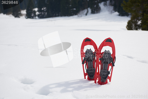 Image of winter snowshoes