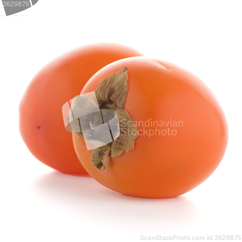 Image of Persimmon fruits