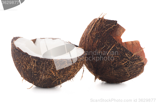 Image of Coconut