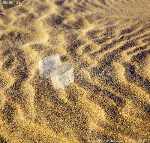 Image of africa the brown sand dune in   sahara morocco desert line