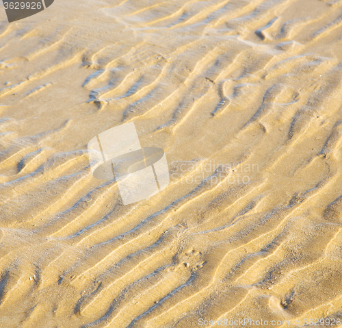 Image of dune morocco in africa brown coastline wet sand beach near atlan