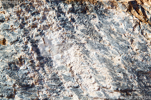 Image of dirty  stone in italy white gray rock    and texture